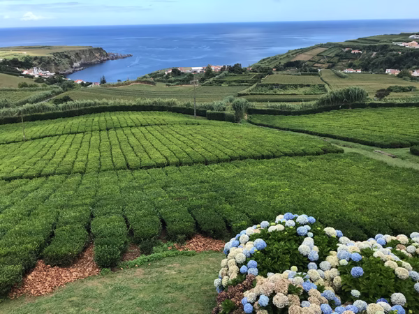 Açores, Visitar a Ilha de São Miguel, Legado Português