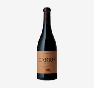 Cabriz Touriga Nacional Tinto 2019 | 75 cl