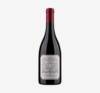 Campolargo Pinot Noir Tinto 2022 | 75 cl