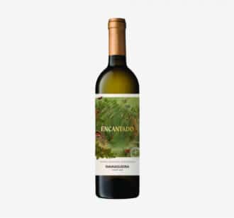 Monte da Ravasqueira Encantado Branco 2023 | 75 cl