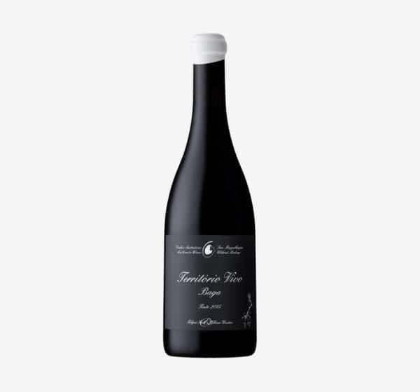Filipa Pato Território Vivo Reserva Tinto 2020 | 75 cl