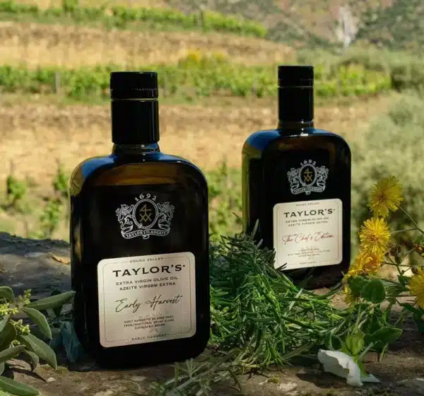 Azeite Virgem Extra Taylor's Early Harvest | 500 ml - Image 2