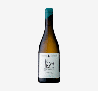 Filipa Pato Nossa Calcário Branco 2022 | 75 cl